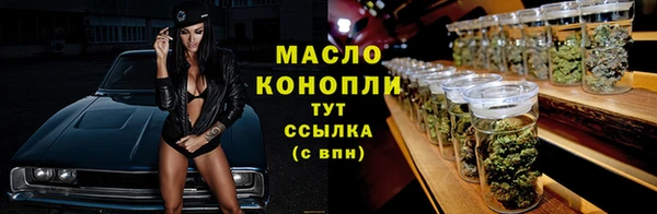 стафф Ельня