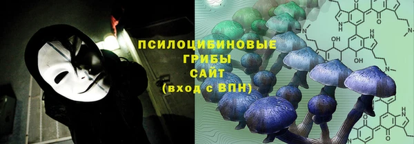 крисы Дмитриев