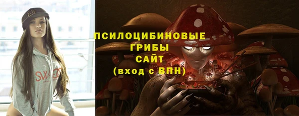 крисы Дмитриев