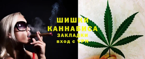 крисы Дмитриев