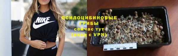 apvp Дмитров
