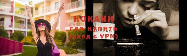 стафф Ельня