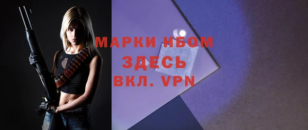 крисы Дмитриев