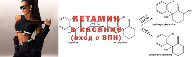 apvp Дмитров