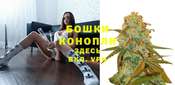 крисы Дмитриев