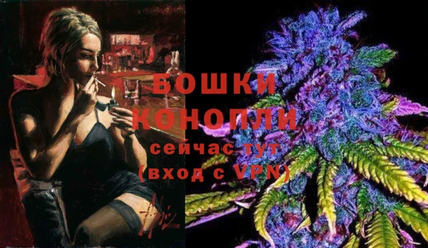 стафф Ельня