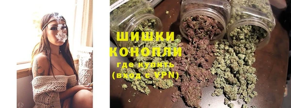 крисы Дмитриев