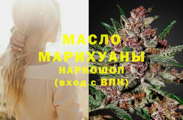 стафф Ельня